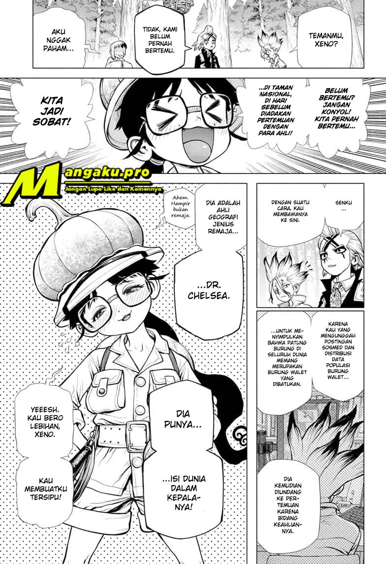 Dr. Stone Chapter 172 - halaman 17