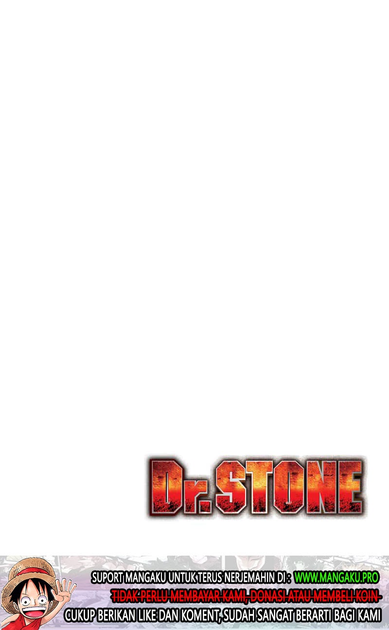 Dr. Stone Chapter 172 - halaman 4