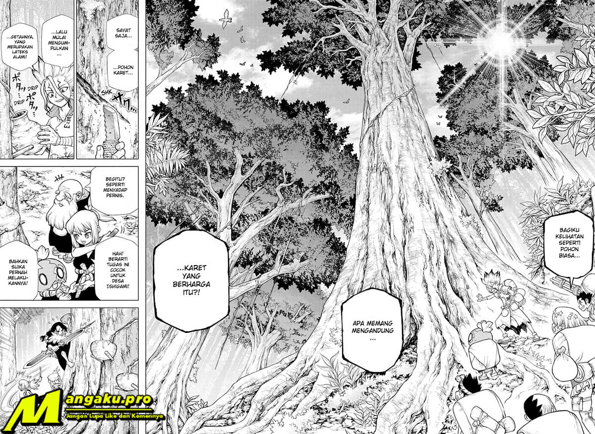 Dr. Stone Chapter 174 - halaman 12