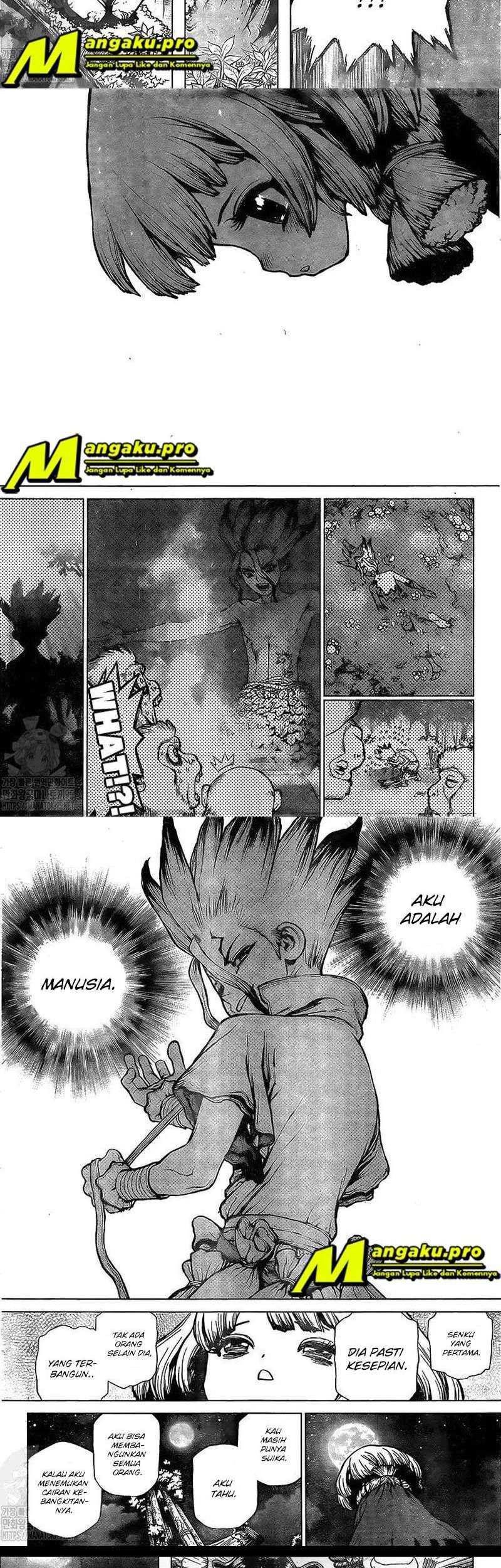 Dr. Stone Chapter 194 - halaman 9