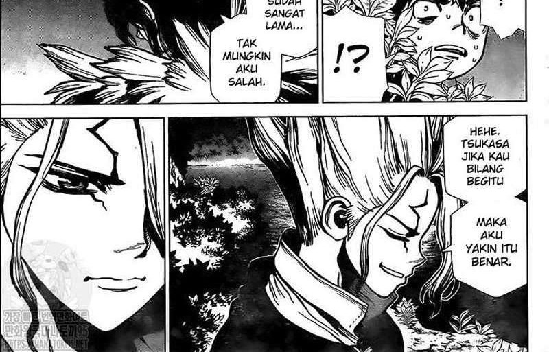 Dr. Stone Chapter 197 - halaman 12