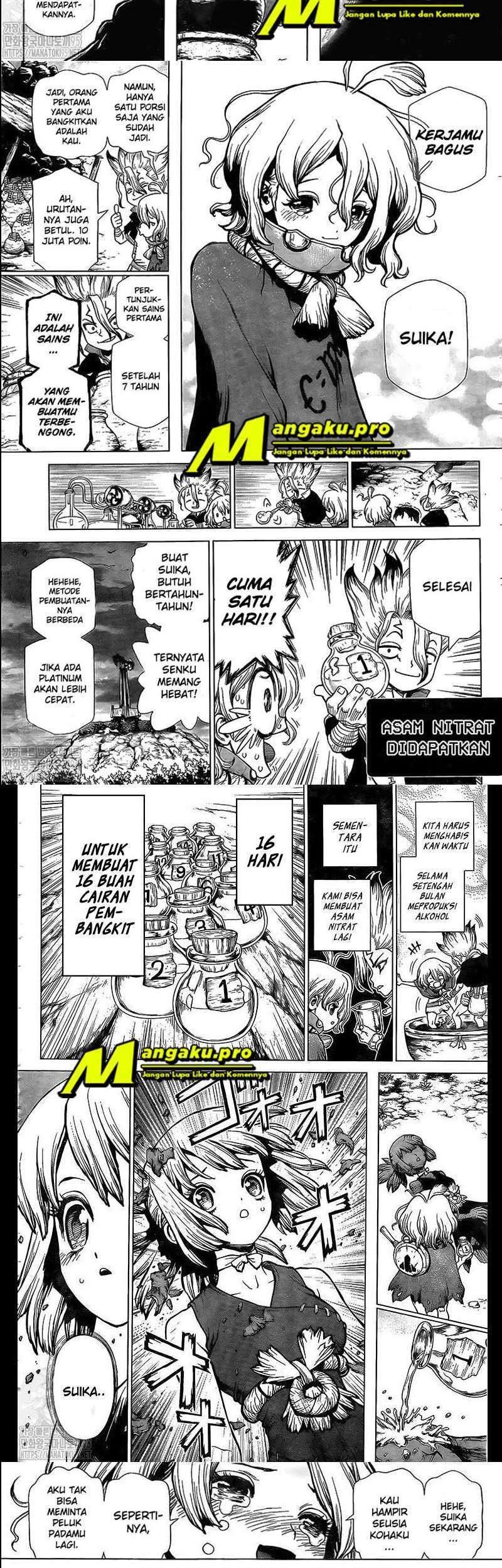Dr. Stone Chapter 197 - halaman 3