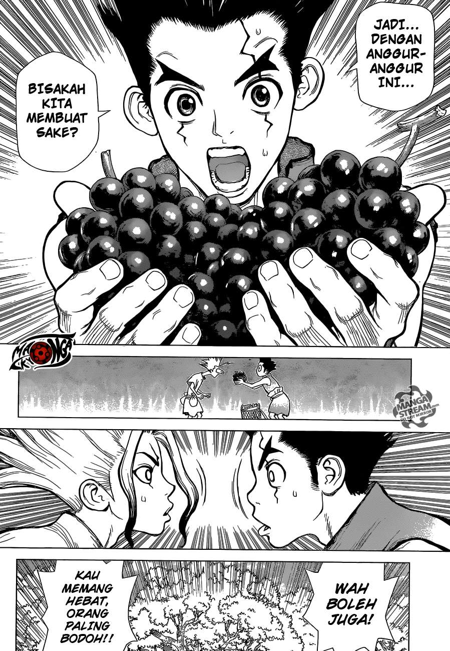 Dr. Stone Chapter 2 - halaman 13