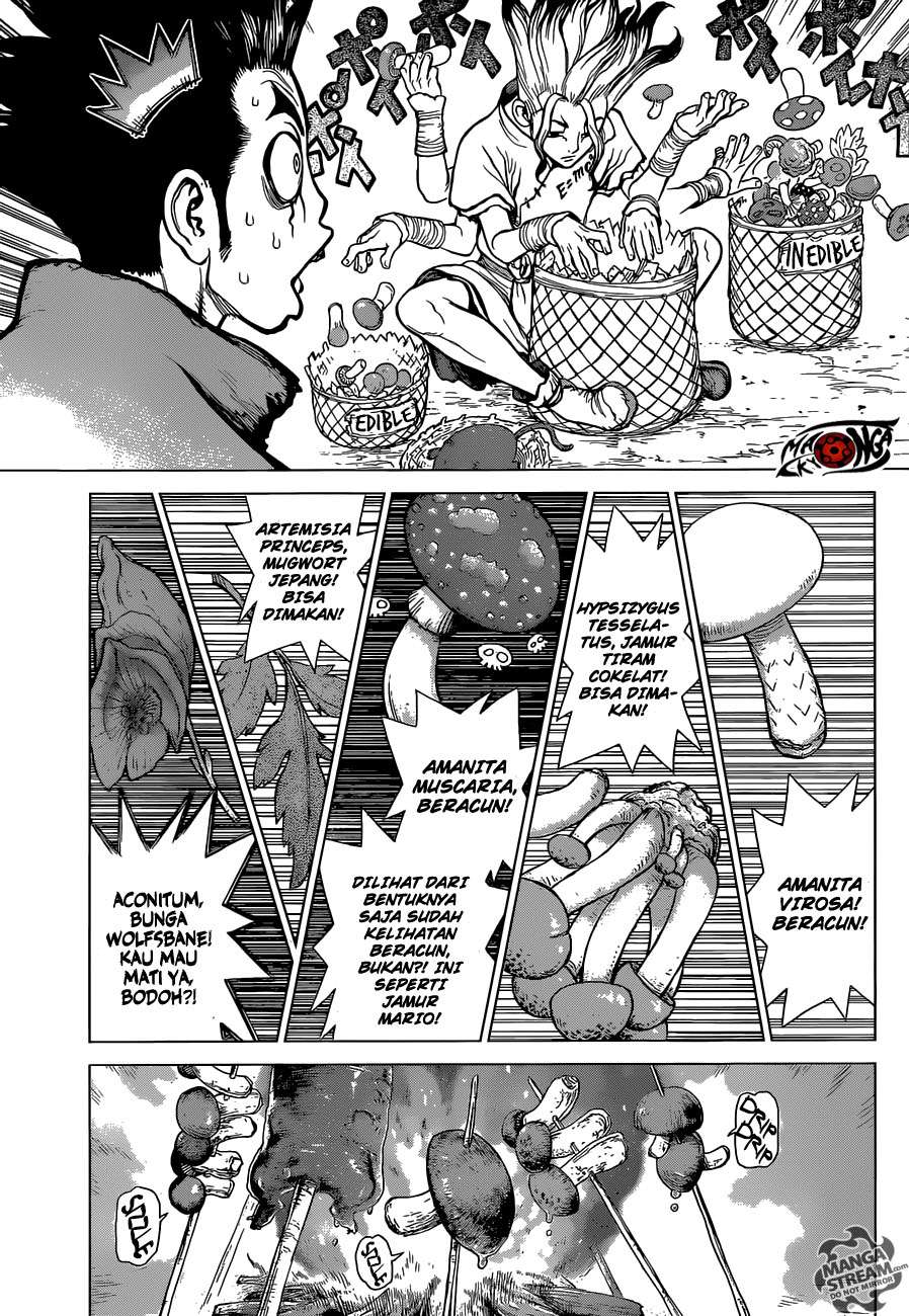 Dr. Stone Chapter 2 - halaman 4