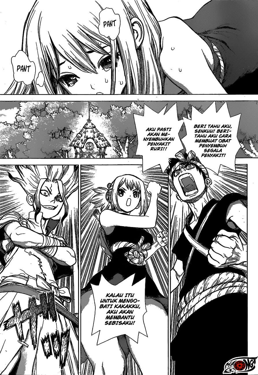 Dr. Stone Chapter 20 - halaman 5