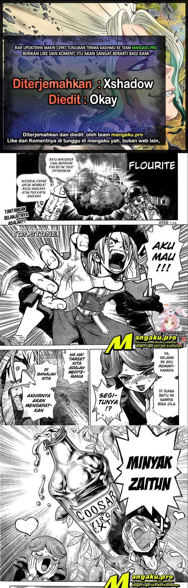 Dr. Stone Chapter 202 - halaman 1