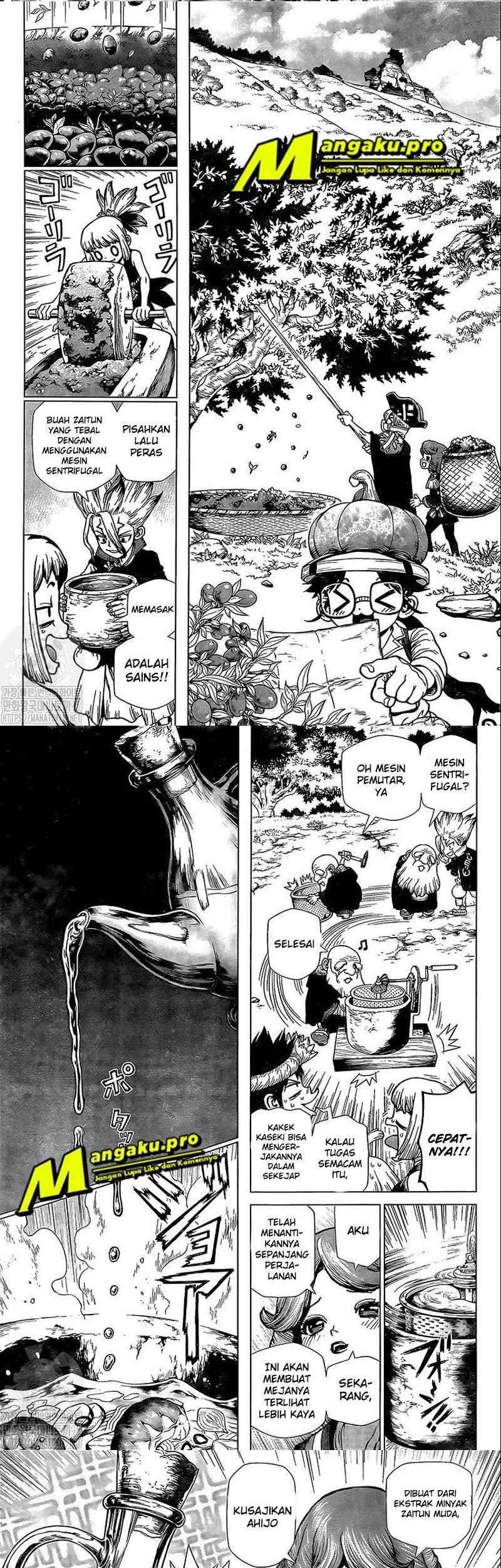 Dr. Stone Chapter 202 - halaman 4