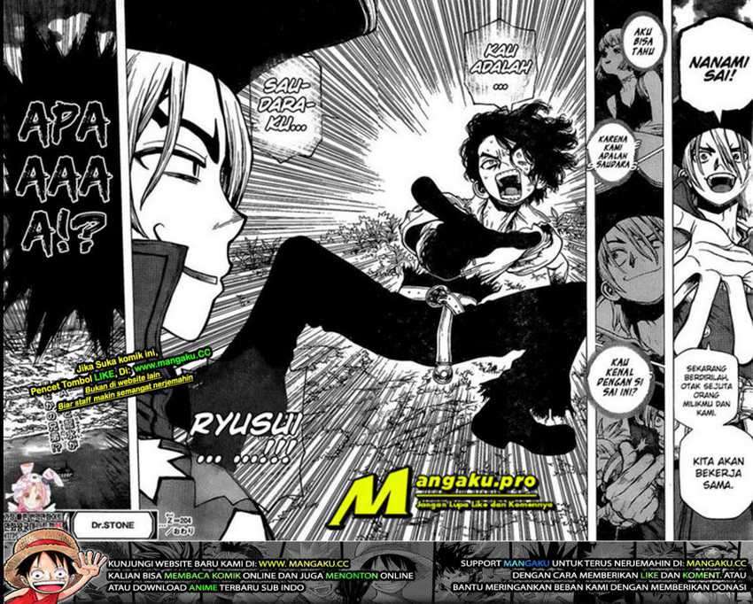 Dr. Stone Chapter 204 - halaman 11