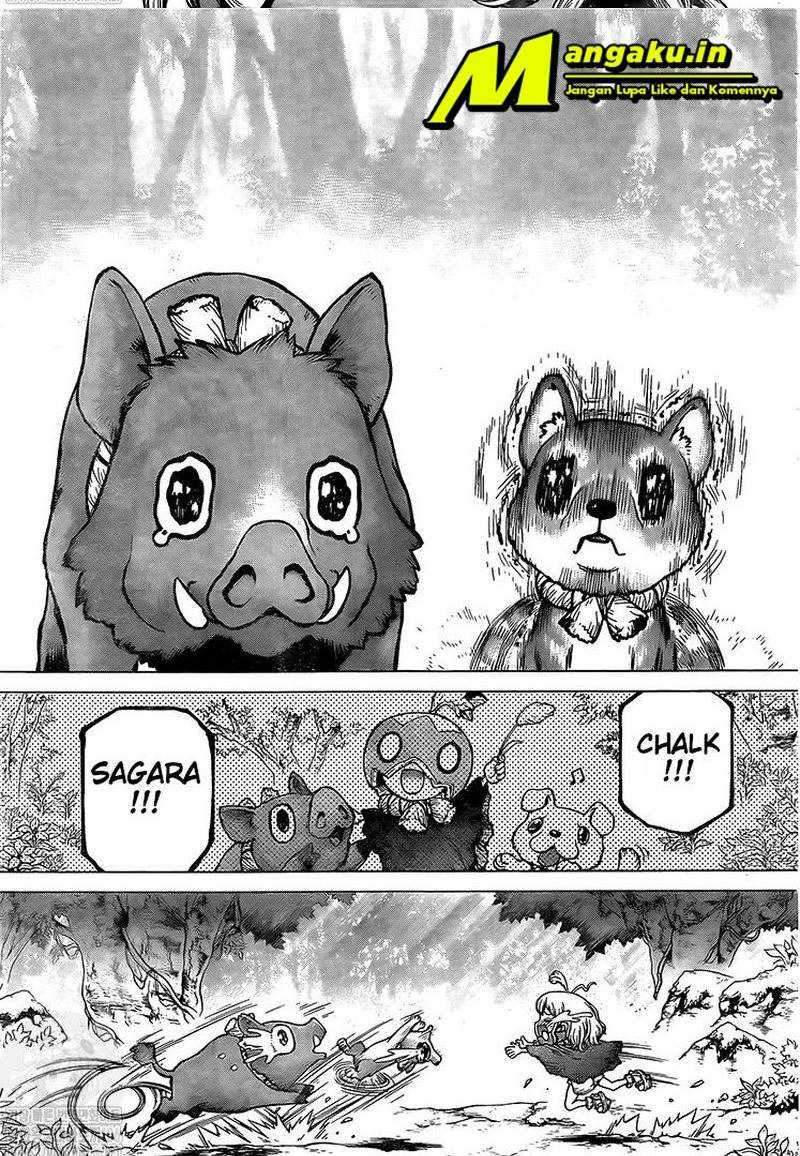 Dr. Stone Chapter 212 - halaman 9