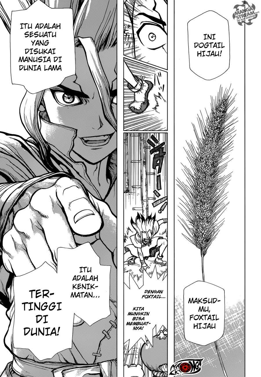 Dr. Stone Chapter 22 - halaman 9
