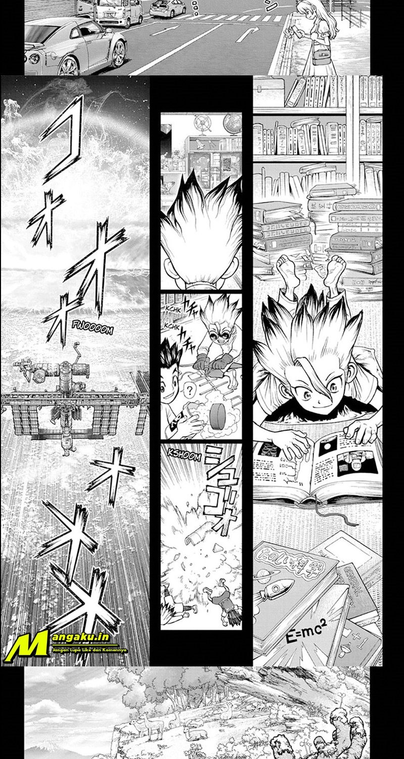 Dr. Stone Chapter 224 - halaman 3