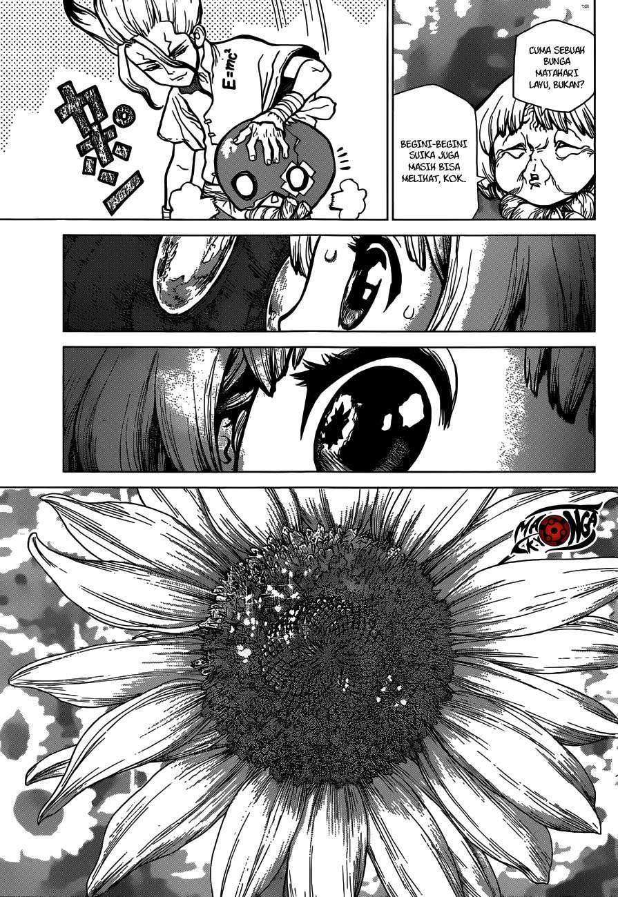 Dr. Stone Chapter 28 - halaman 14