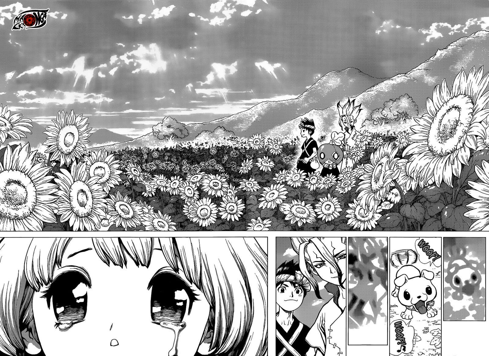 Dr. Stone Chapter 28 - halaman 15