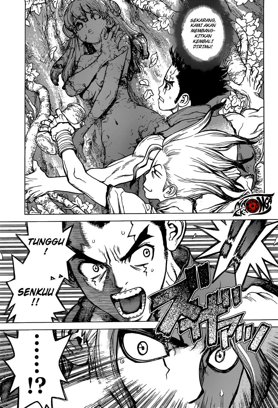 Dr. Stone Chapter 3 - halaman 4