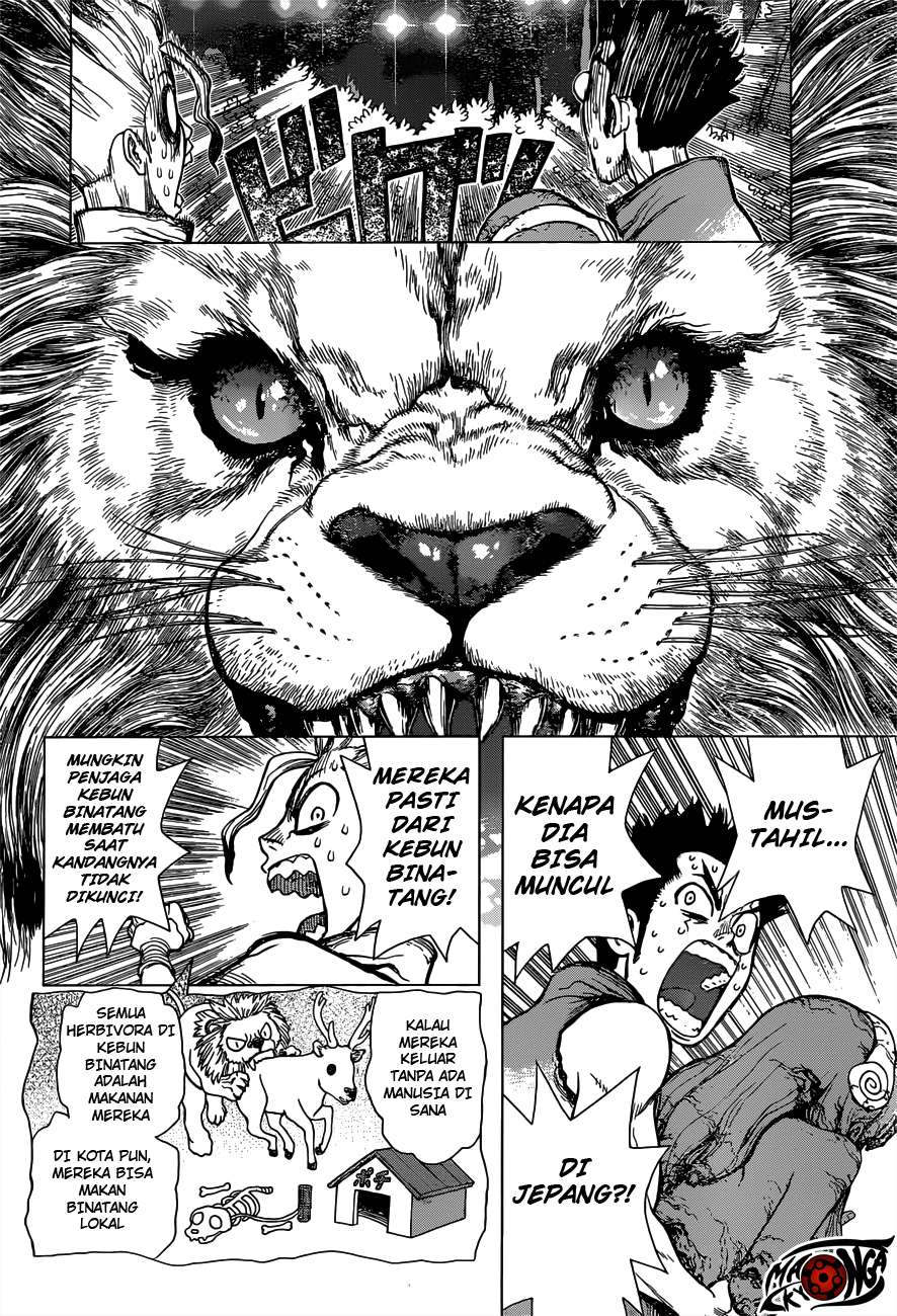 Dr. Stone Chapter 3 - halaman 7