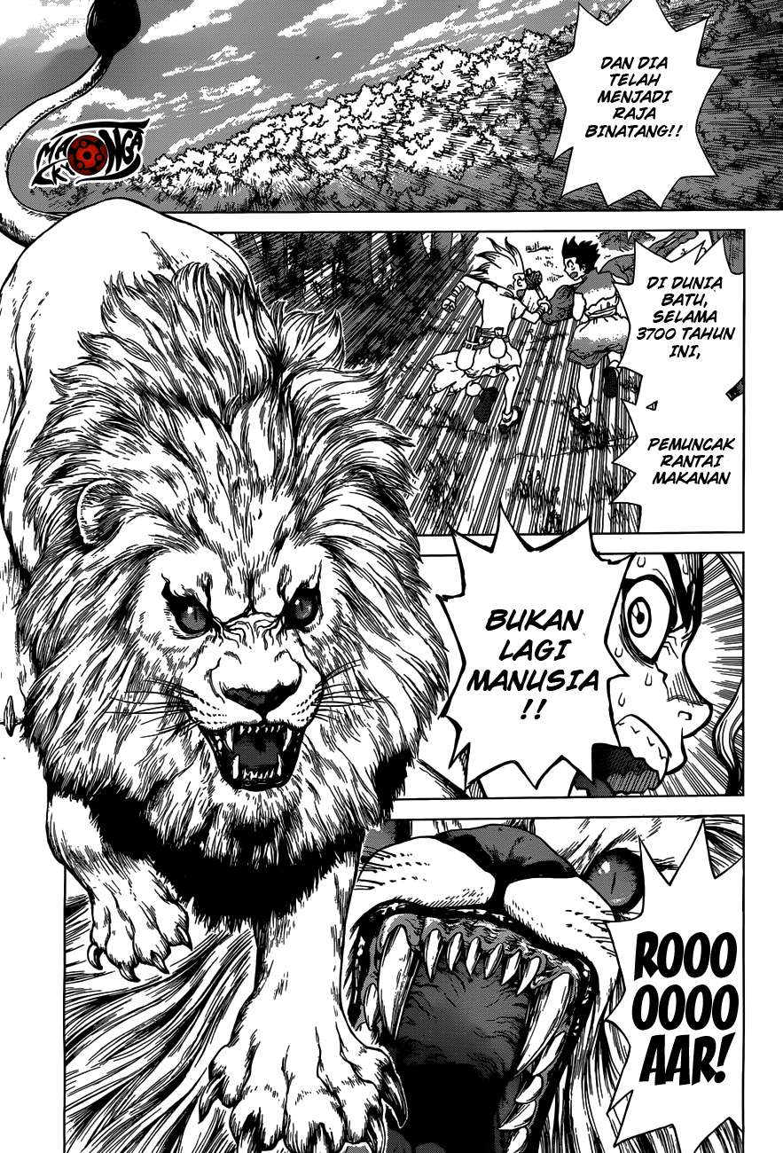 Dr. Stone Chapter 3 - halaman 8