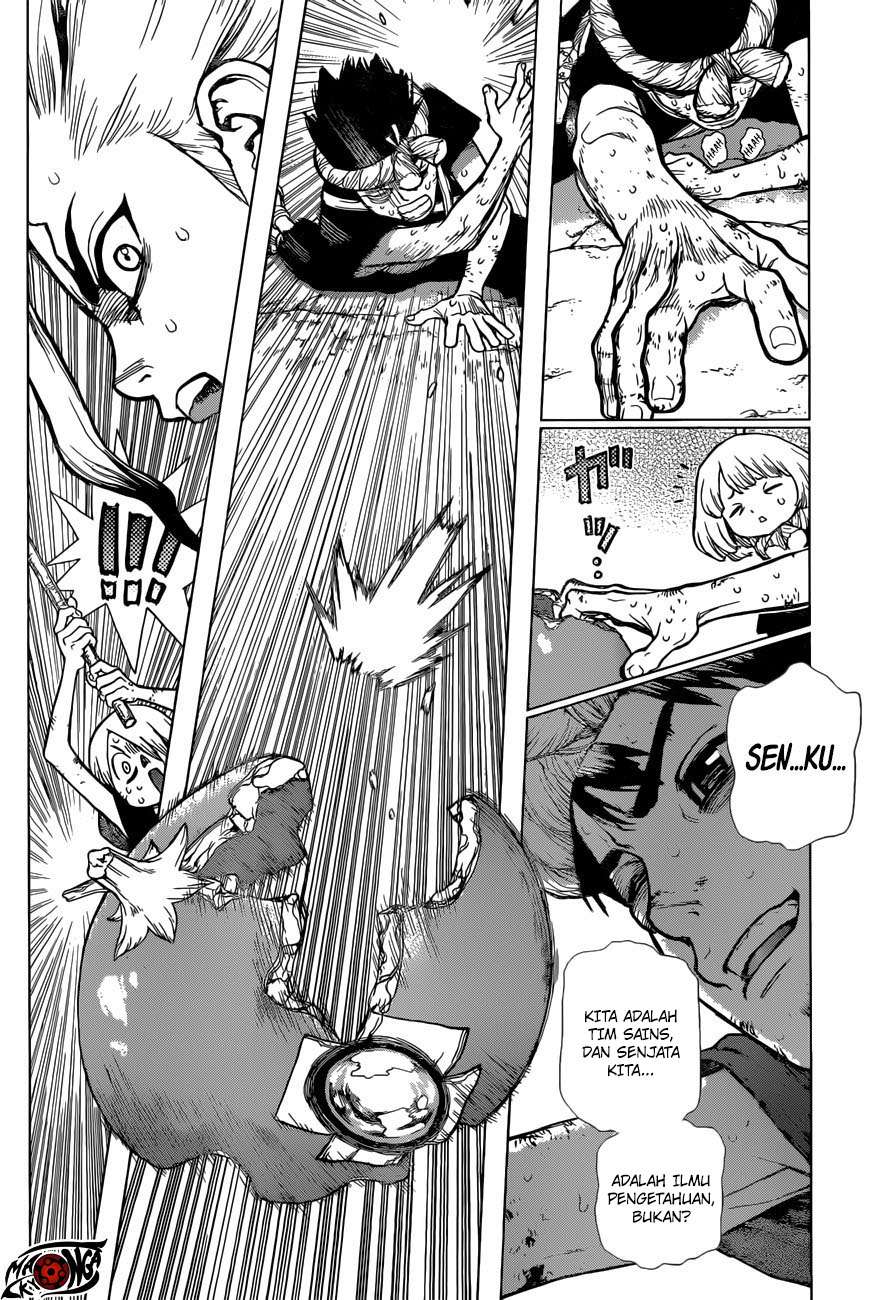 Dr. Stone Chapter 39 - halaman 12