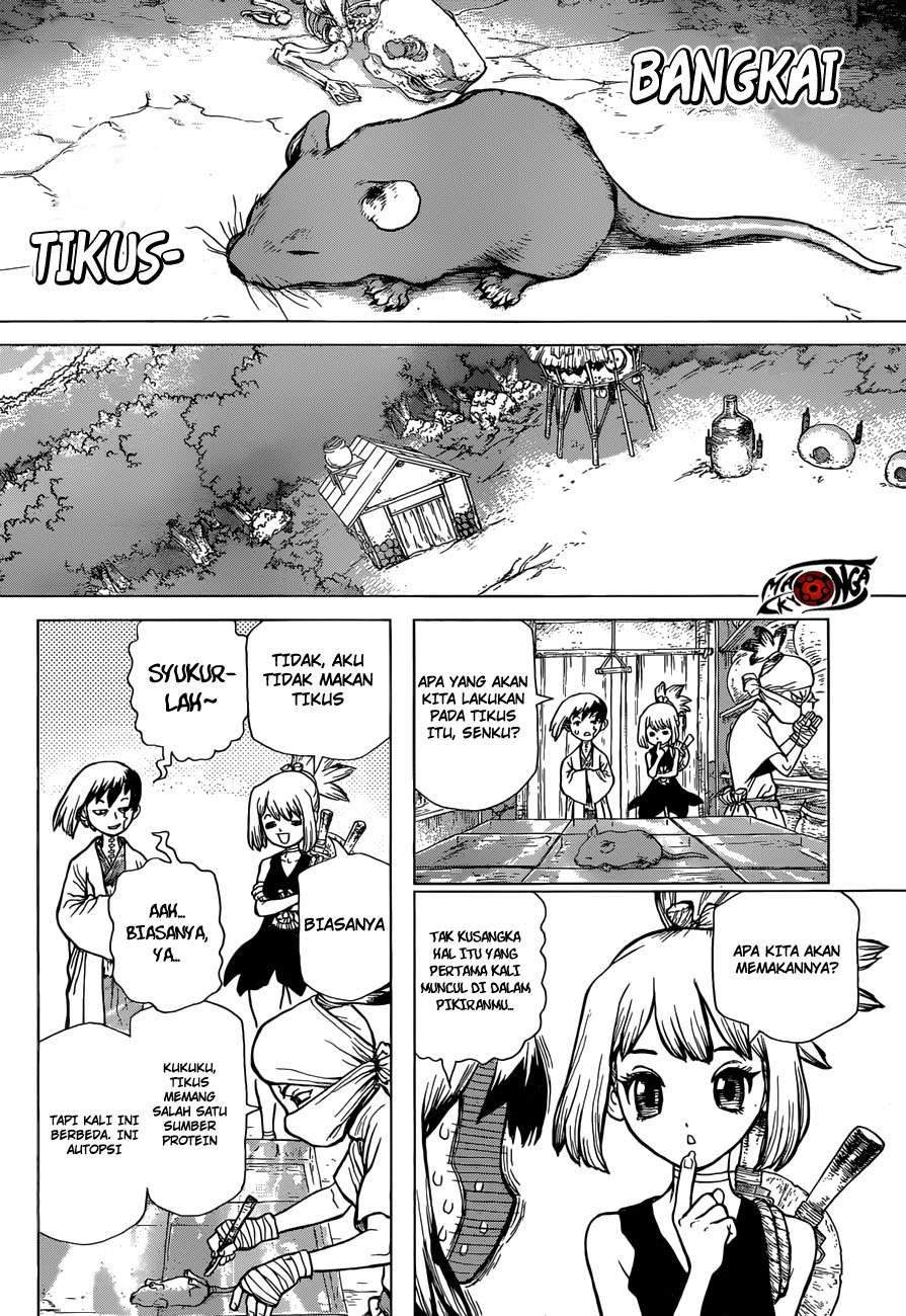 Dr. Stone Chapter 41 - halaman 4
