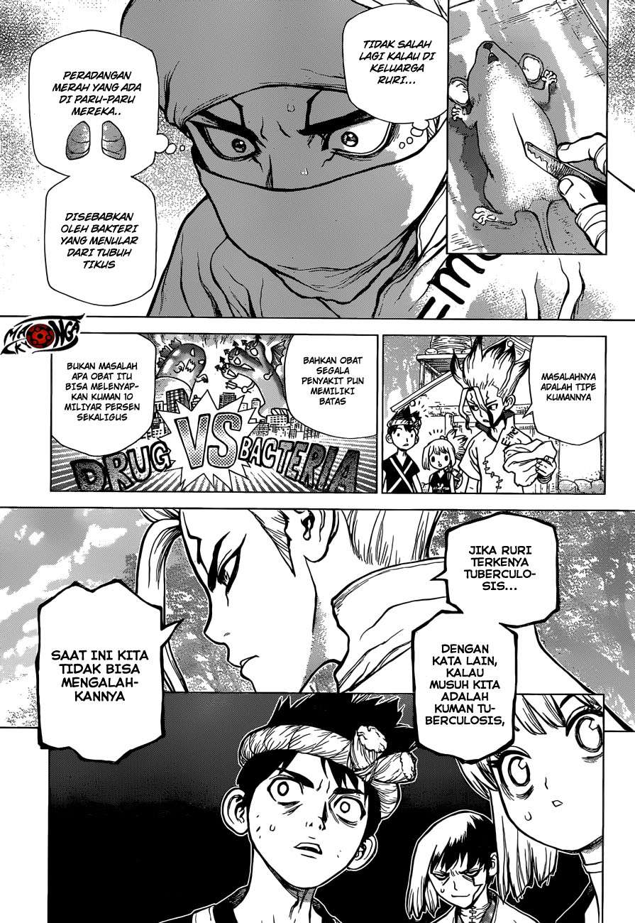 Dr. Stone Chapter 41 - halaman 5