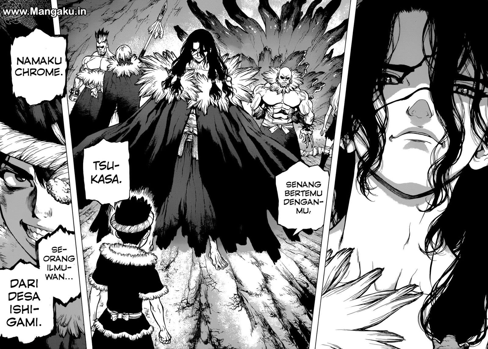Dr. Stone Chapter 67 - halaman 13