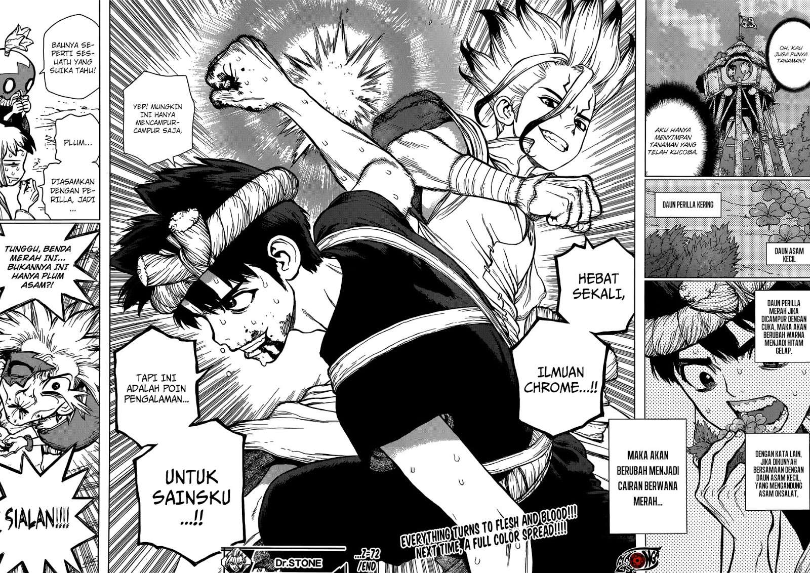 Dr. Stone Chapter 72 - halaman 16