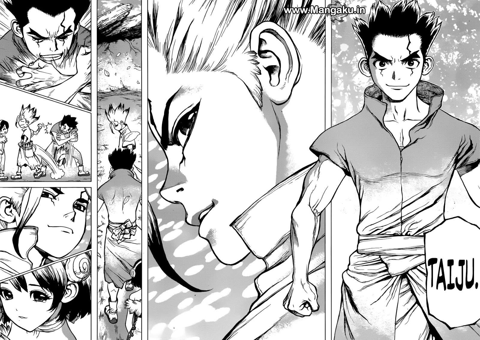 Dr. Stone Chapter 74 - halaman 13