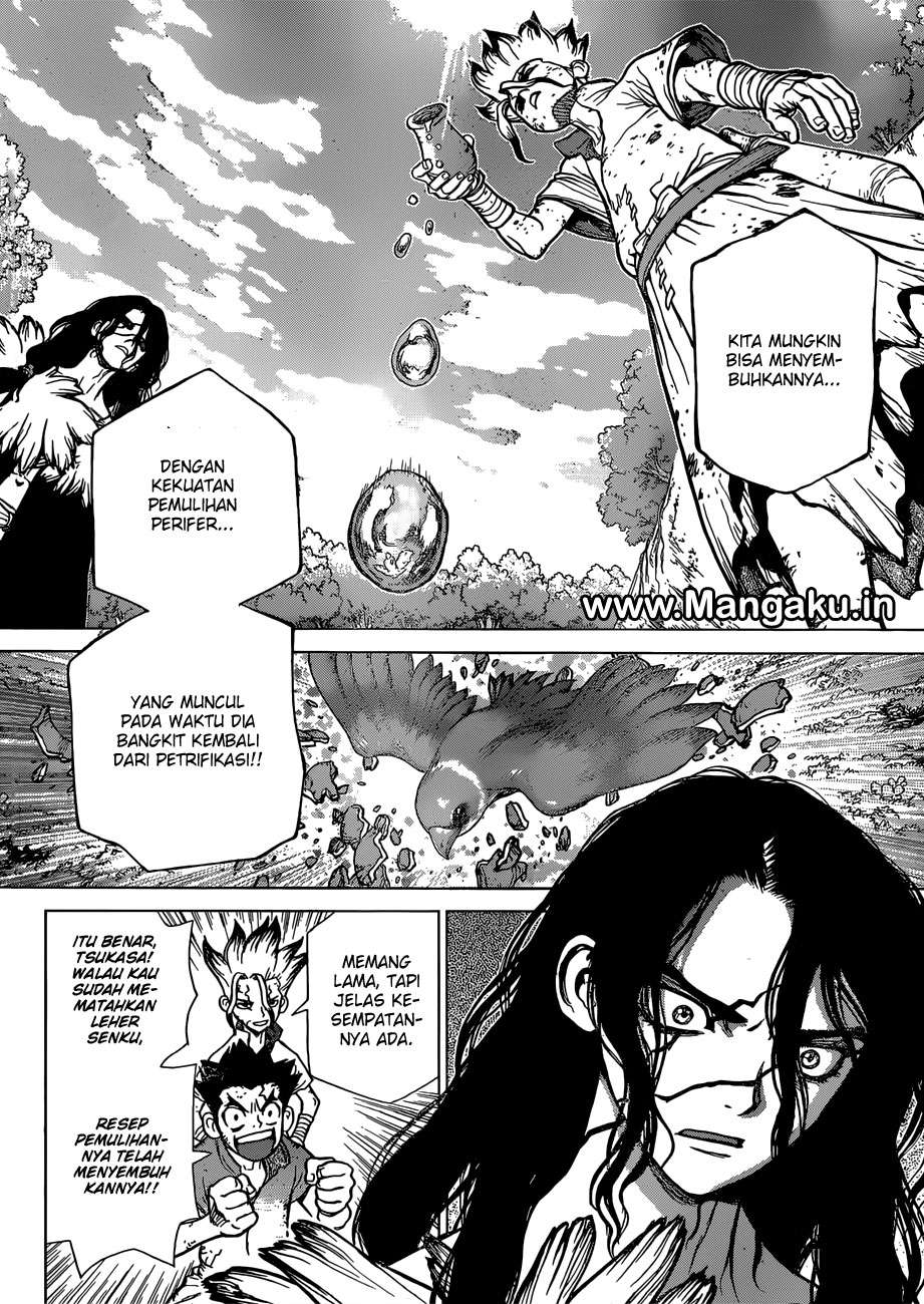Dr. Stone Chapter 78 - halaman 12