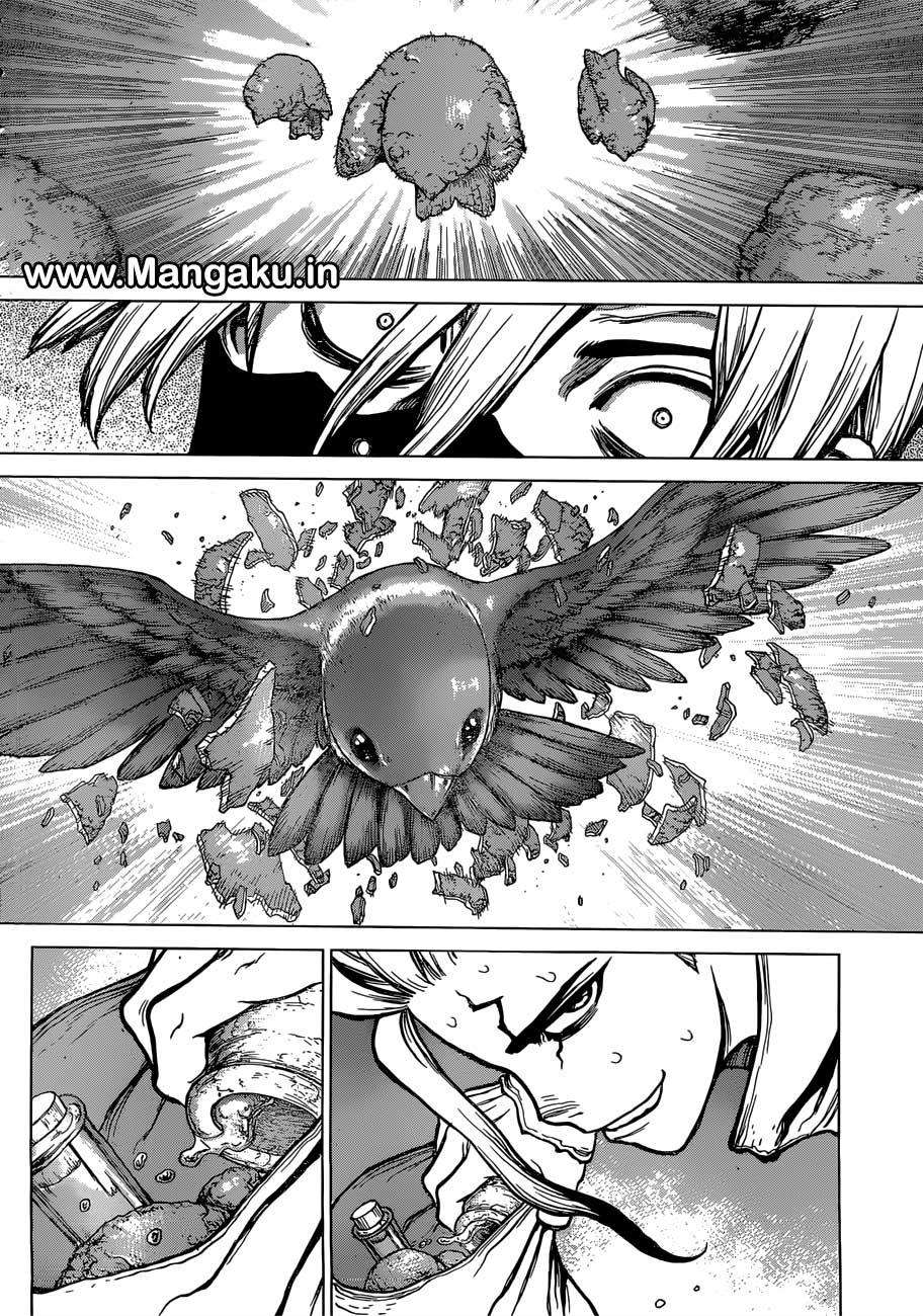 Dr. Stone Chapter 80 - halaman 15
