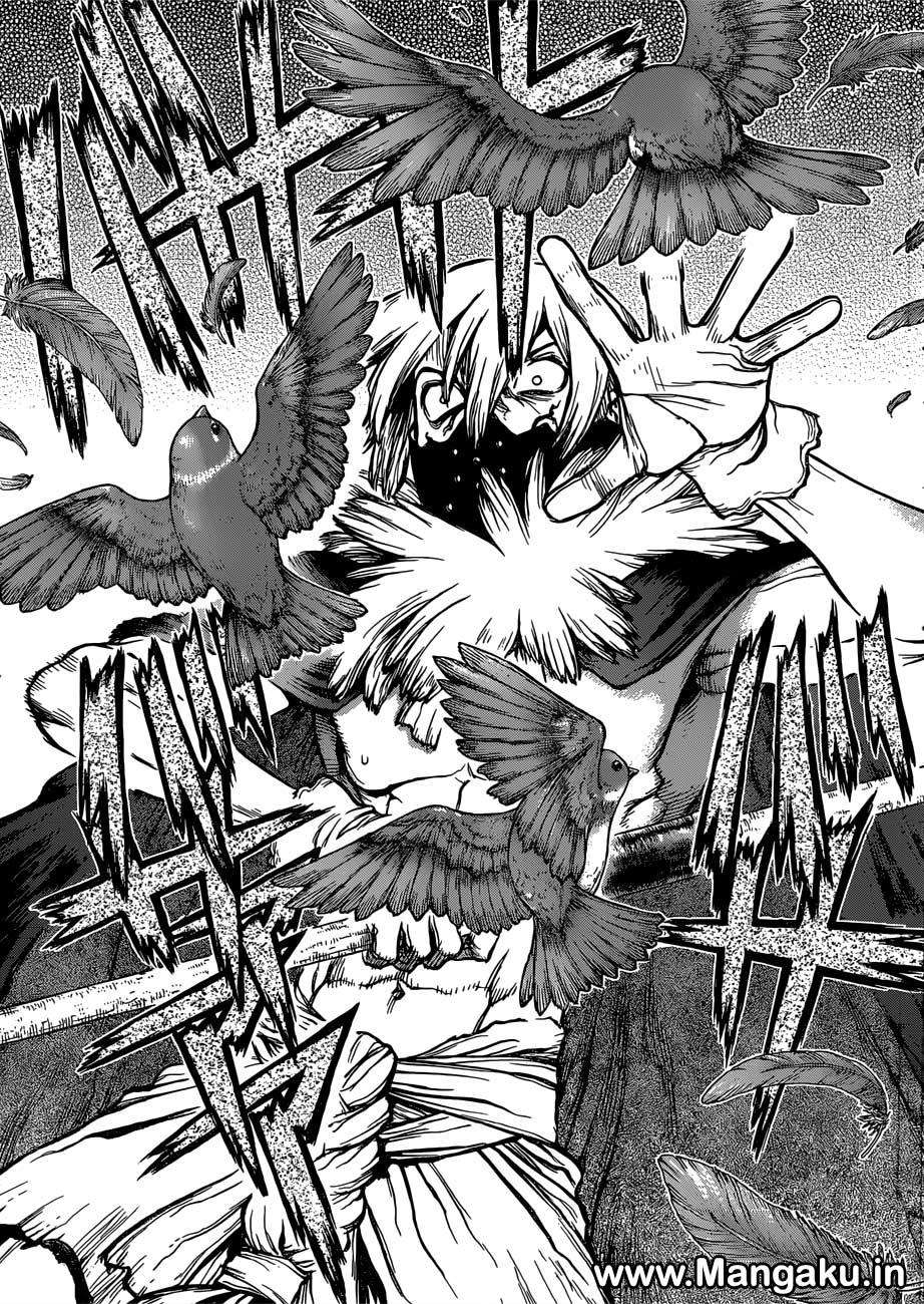Dr. Stone Chapter 80 - halaman 16
