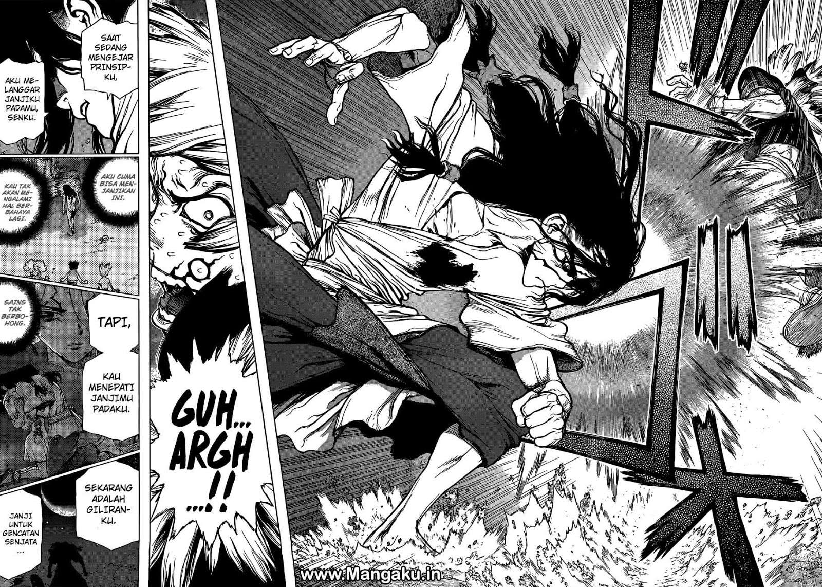 Dr. Stone Chapter 80 - halaman 17