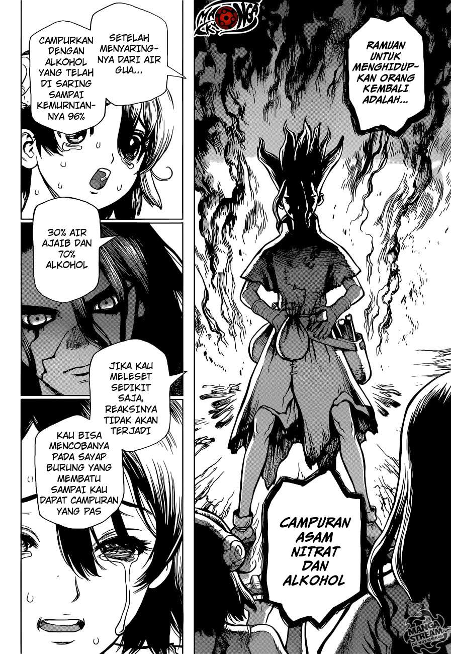 Dr. Stone Chapter 9 - halaman 14