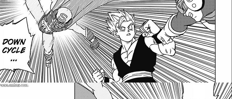 Dragon Ball Super Chapter 102 - halaman 45