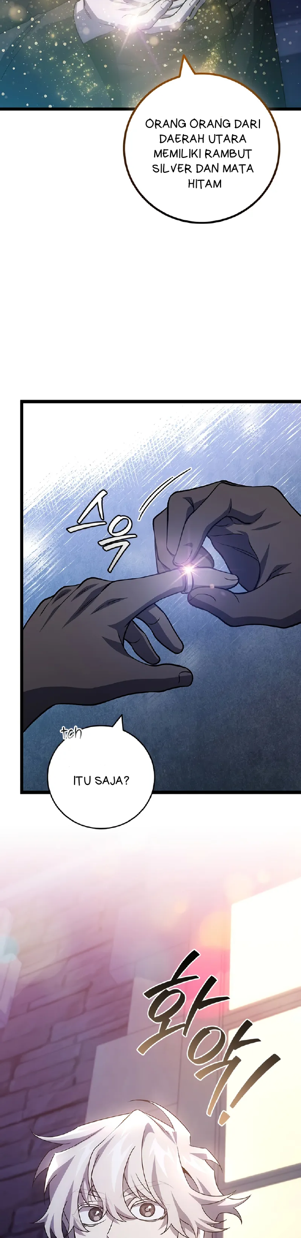 Dragon-Devouring Mage Chapter 101 - halaman 12