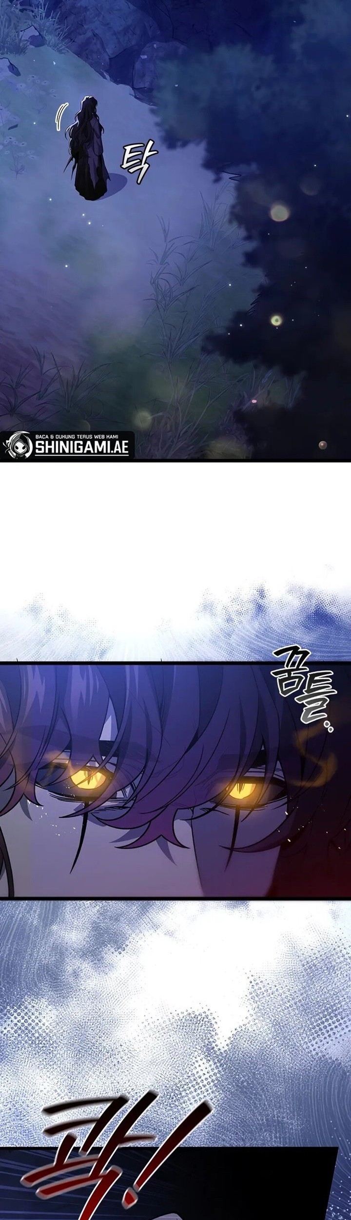 Dragon-Devouring Mage Chapter 83 - halaman 11