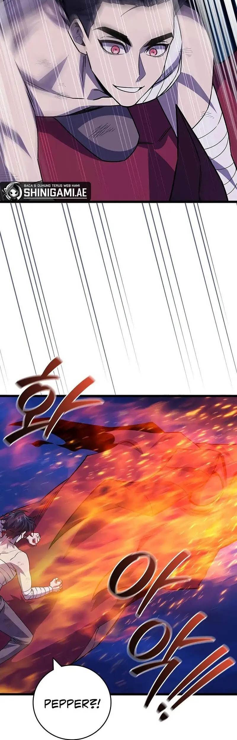 Dragon-Devouring Mage Chapter 98 - halaman 41
