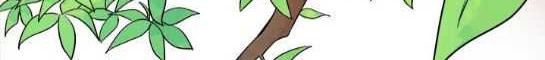 Drawing Romance Chapter 13 - halaman 30