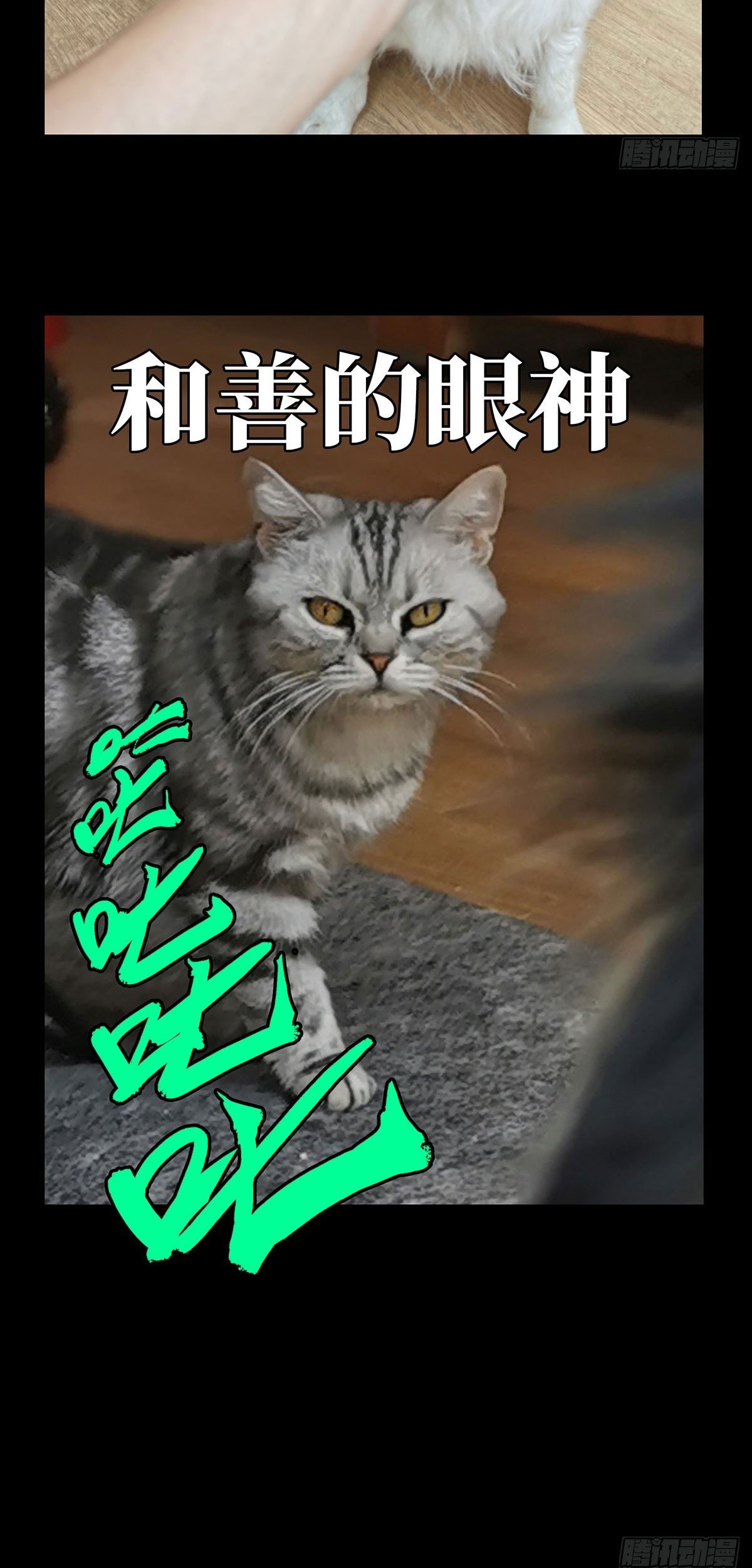 Elephant Invisible Chapter 64 - halaman 36