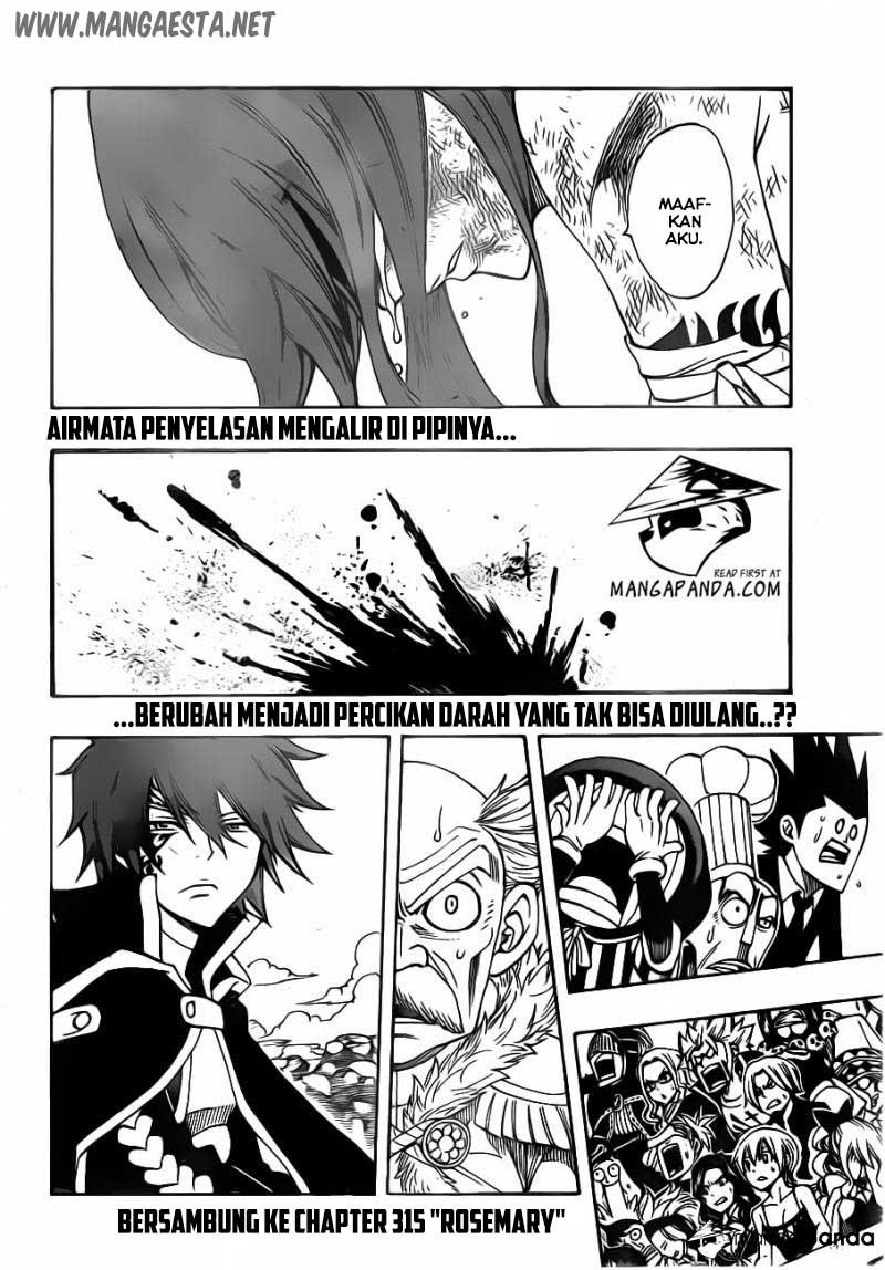 Fairy Tail+ Chapter 314 - halaman 21