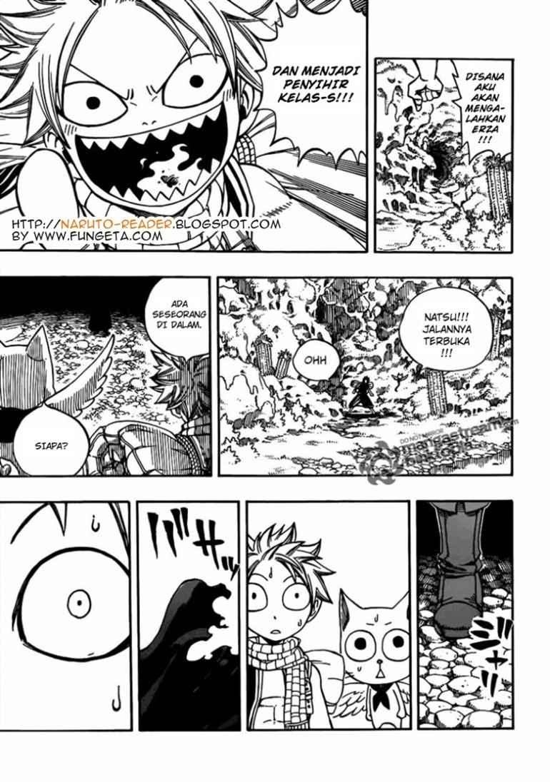 Fairy Tail Chapter 204 - halaman 17