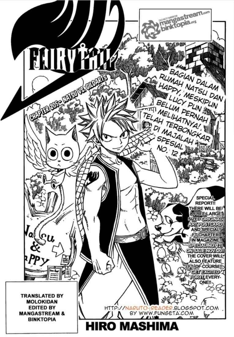 Fairy Tail Chapter 205 - halaman 1