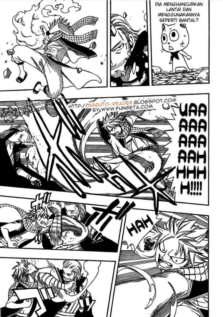 Fairy Tail Chapter 205 - halaman 12