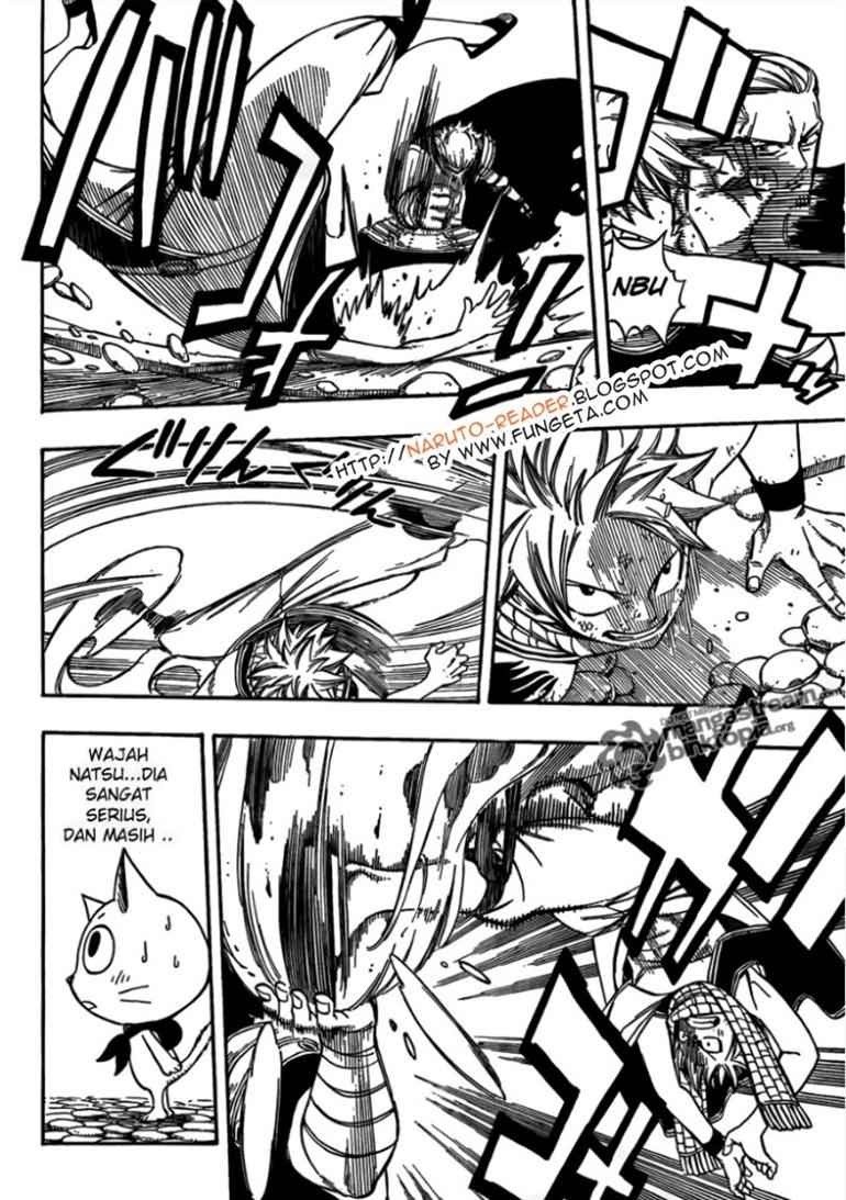 Fairy Tail Chapter 205 - halaman 13