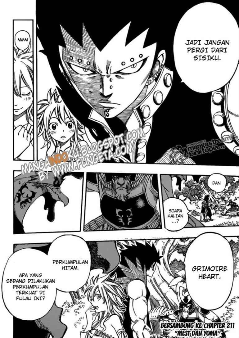 Fairy Tail Chapter 210 - halaman 19
