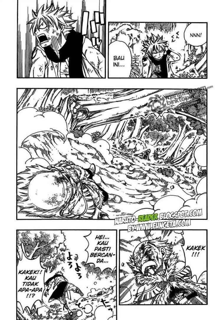 Fairy Tail Chapter 218 - halaman 12