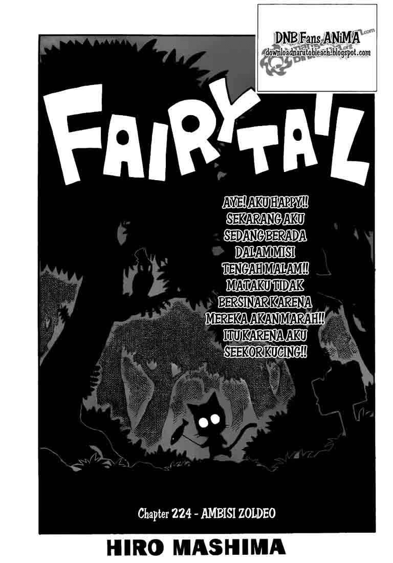 Fairy Tail Chapter 224 - halaman 1