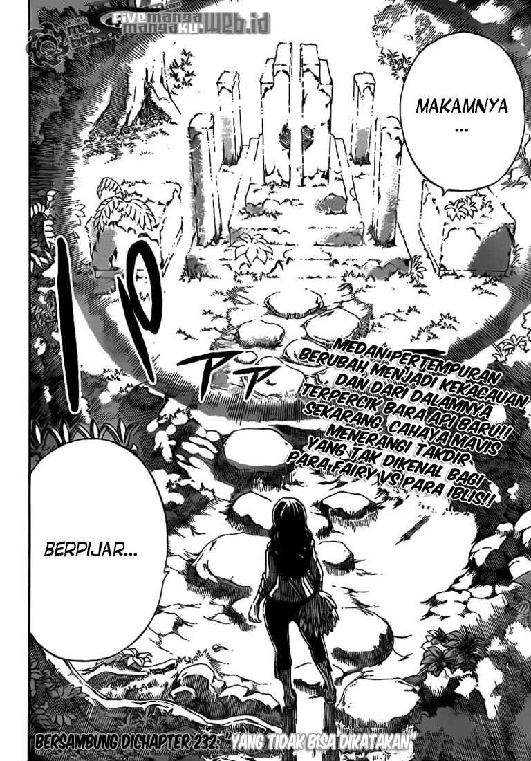 Fairy Tail Chapter 231 - halaman 21