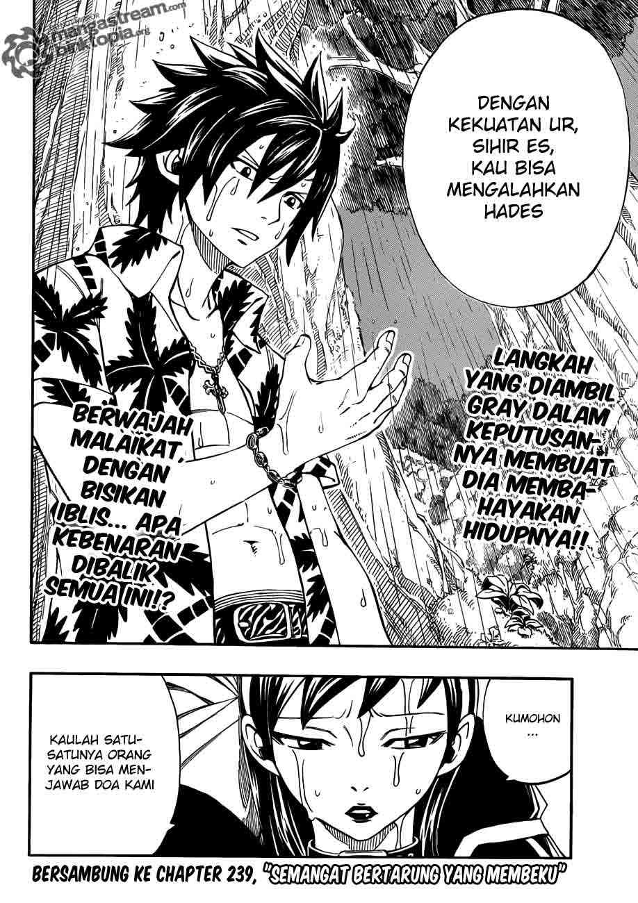 Fairy Tail Chapter 238 - halaman 19