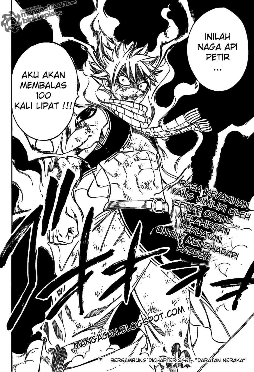 Fairy Tail Chapter 245 - halaman 21