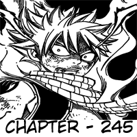 Fairy Tail Chapter 245 - halaman 22