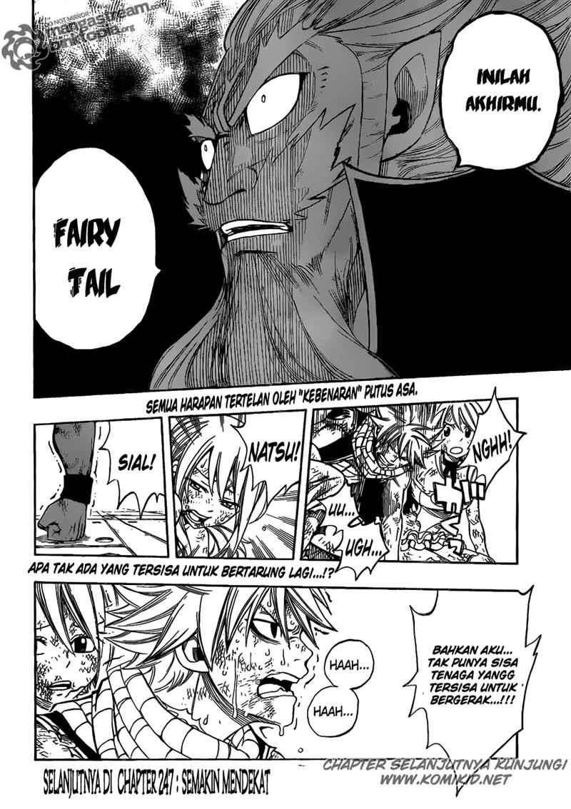 Fairy Tail Chapter 246 - halaman 20